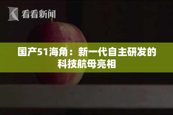 国产51海角：新一代自主研发的科技航母亮相