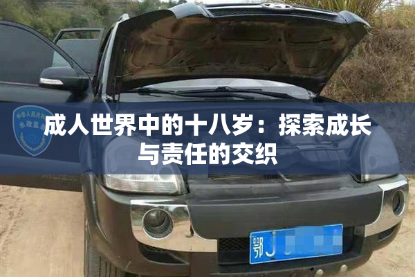 成人世界中的十八岁：探索成长与责任的交织