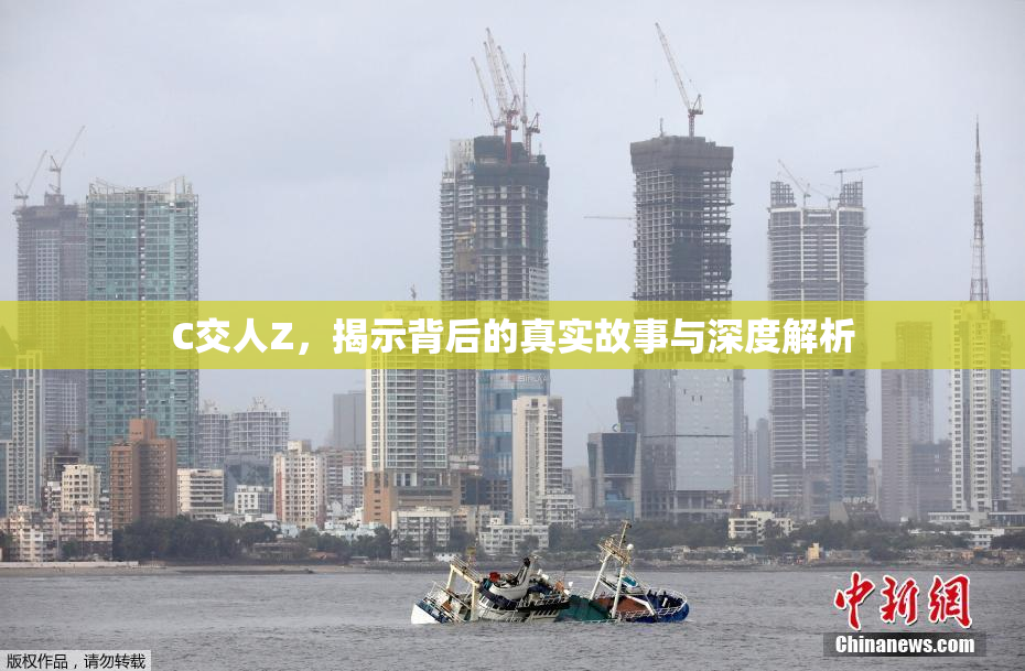 C交人Z，揭示背后的真实故事与深度解析