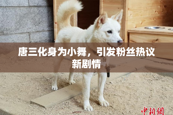 唐三化身为小舞，引发粉丝热议新剧情