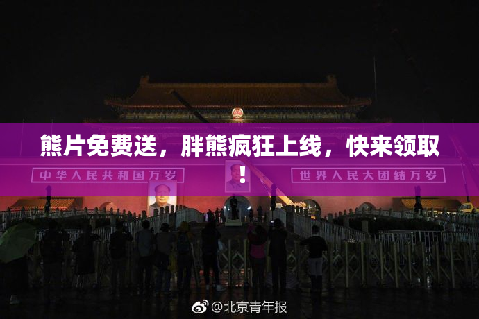 熊片免费送，胖熊疯狂上线，快来领取！