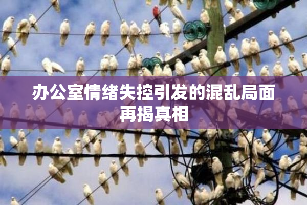 办公室情绪失控引发的混乱局面再揭真相