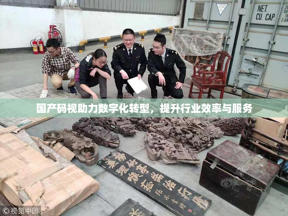 国产码视助力数字化转型，提升行业效率与服务
