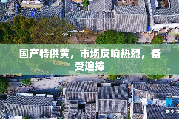 国产特供黄，市场反响热烈，备受追捧