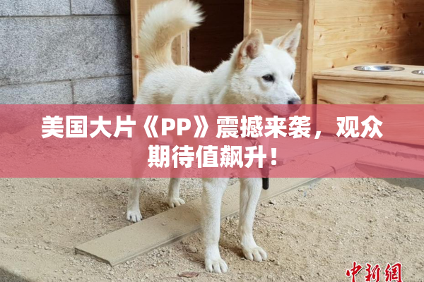 美国大片《PP》震撼来袭，观众期待值飙升！