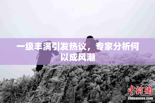 一级丰满引发热议，专家分析何以成风潮