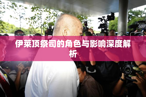 伊莱顶祭司的角色与影响深度解析