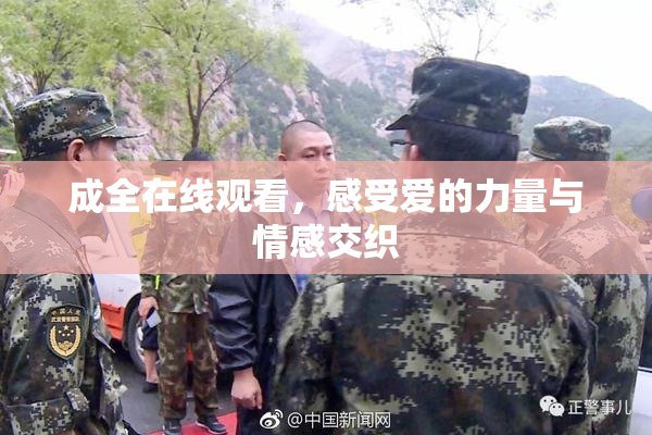 成全在线观看，感受爱的力量与情感交织