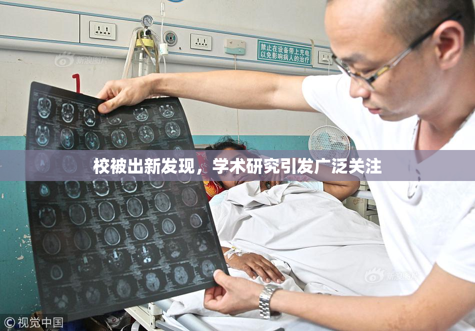 校被出新发现，学术研究引发广泛关注