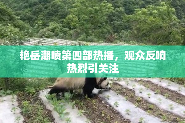 艳岳潮喷第四部热播，观众反响热烈引关注