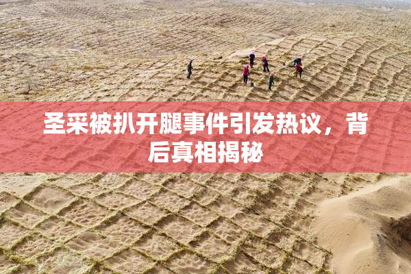 圣采被扒开腿事件引发热议，背后真相揭秘