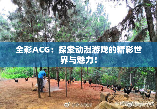 全彩ACG：探索动漫游戏的精彩世界与魅力！