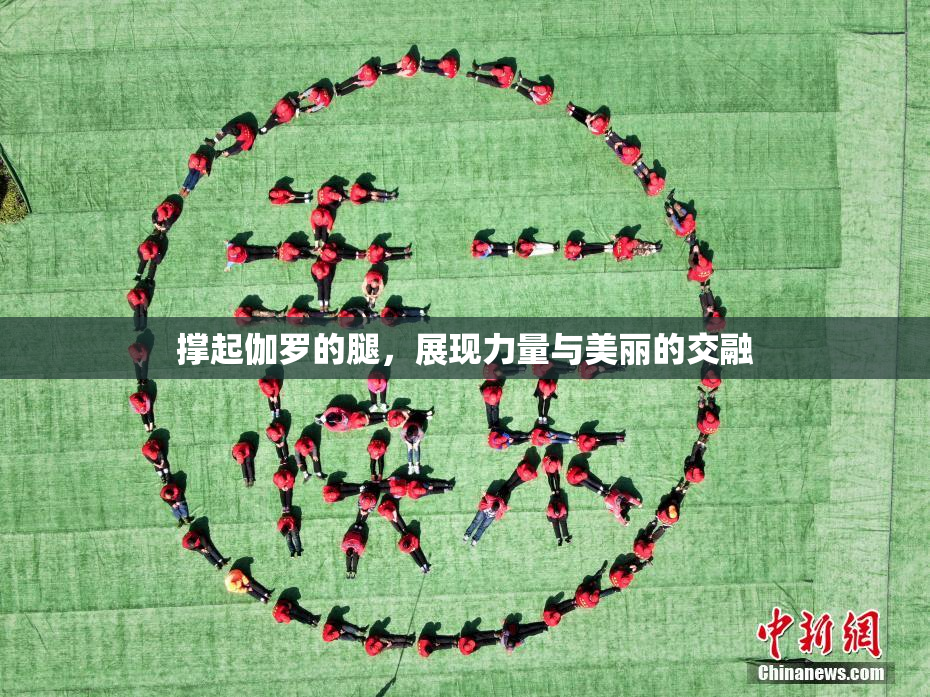 撑起伽罗的腿，展现力量与美丽的交融