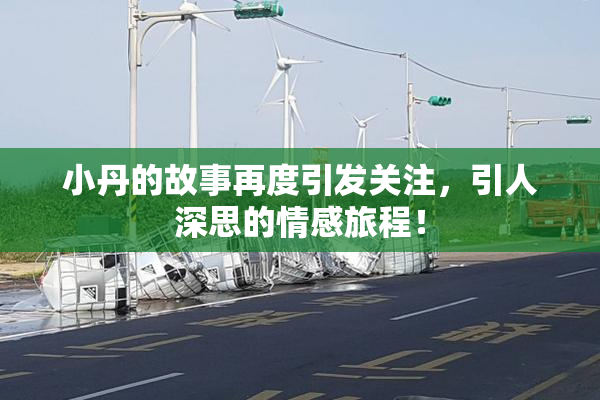 小丹的故事再度引发关注，引人深思的情感旅程！