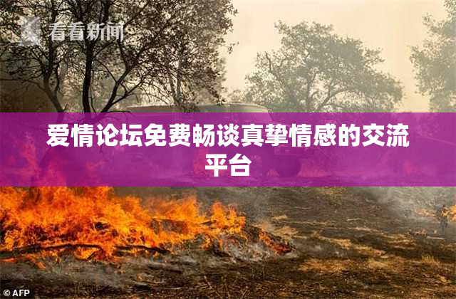 爱情论坛免费畅谈真挚情感的交流平台