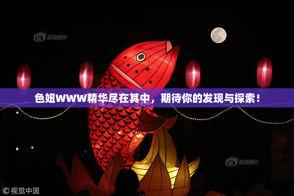 色妞WWW精华尽在其中，期待你的发现与探索！