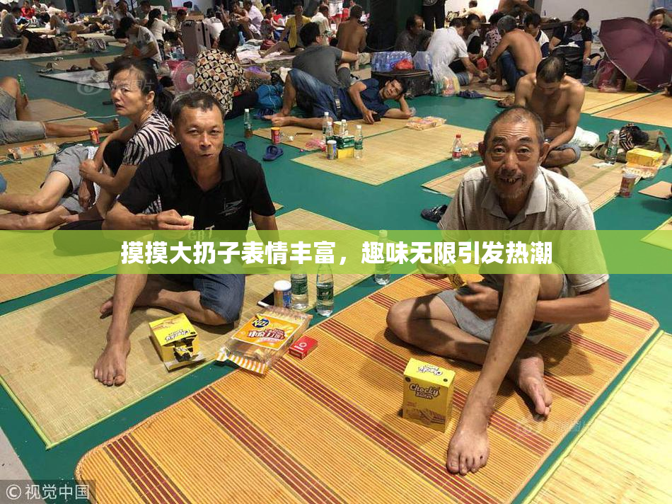 摸摸大扔子表情丰富，趣味无限引发热潮