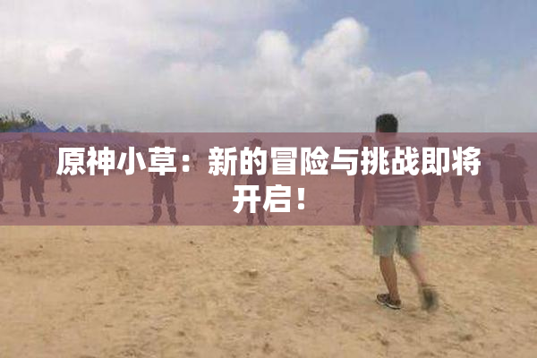 原神小草：新的冒险与挑战即将开启！