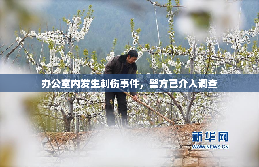 办公室内发生刺伤事件，警方已介入调查