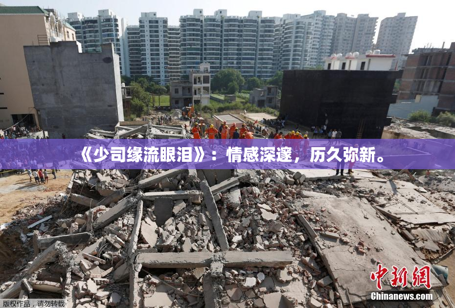 《少司缘流眼泪》：情感深邃，历久弥新。
