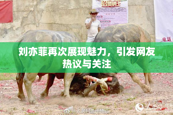 刘亦菲再次展现魅力，引发网友热议与关注