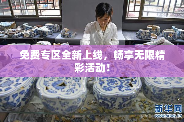 免费专区全新上线，畅享无限精彩活动！