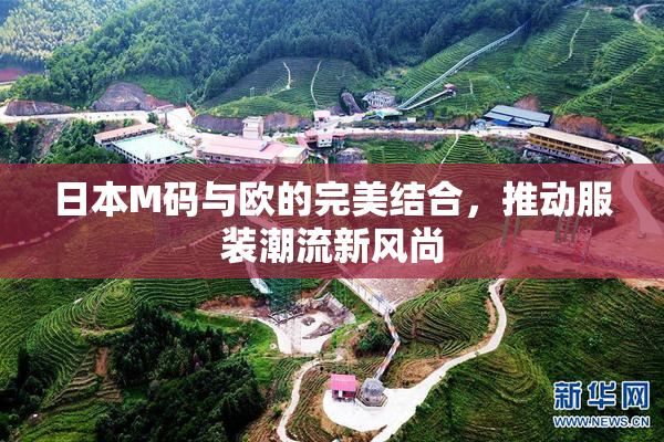 日本M码与欧的完美结合，推动服装潮流新风尚