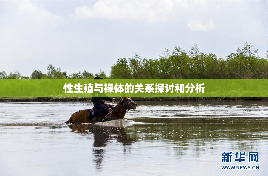 性生殖与裸体的关系探讨和分析