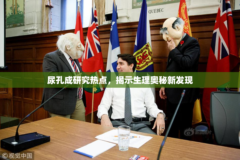 尿孔成研究热点，揭示生理奥秘新发现