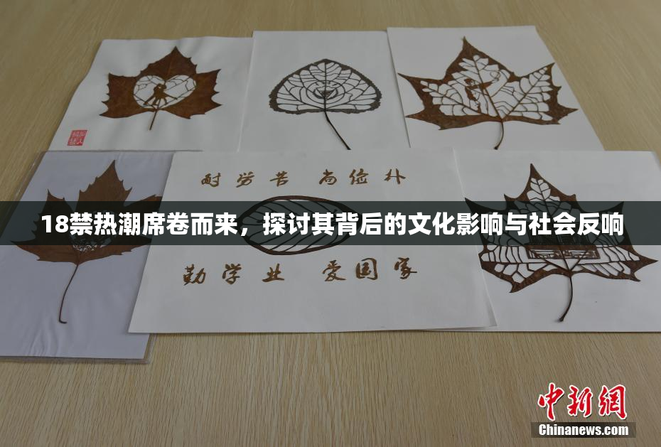 18禁热潮席卷而来，探讨其背后的文化影响与社会反响