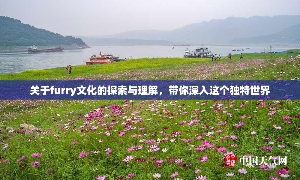 关于furry文化的探索与理解，带你深入这个独特世界