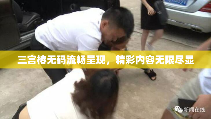 三宫椿无码流畅呈现，精彩内容无限尽显