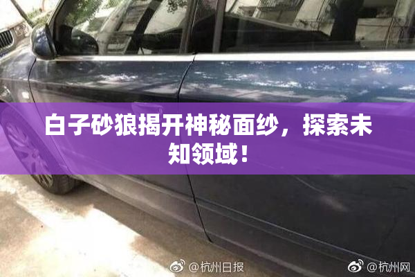 白子砂狼揭开神秘面纱，探索未知领域！