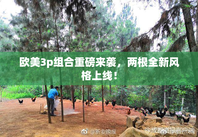 欧美3p组合重磅来袭，两根全新风格上线！