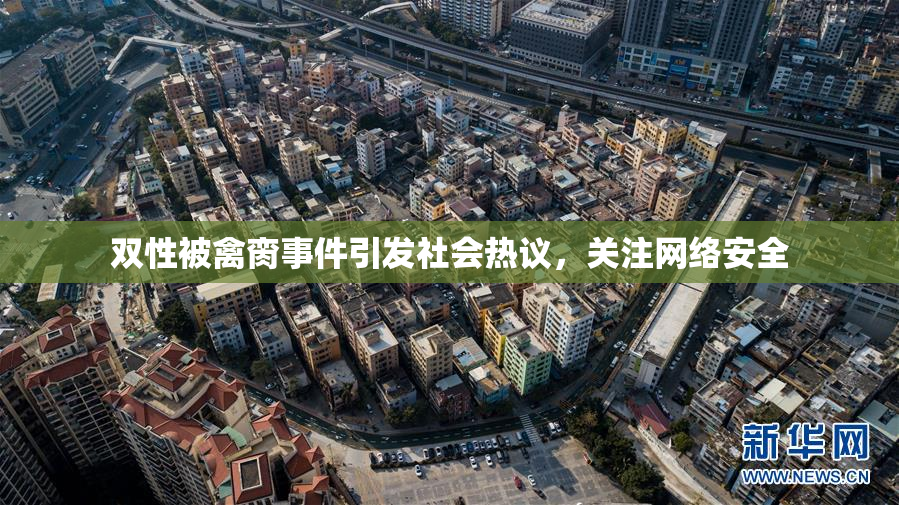 双性被禽脔事件引发社会热议，关注网络安全
