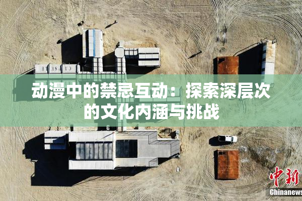 动漫中的禁忌互动：探索深层次的文化内涵与挑战