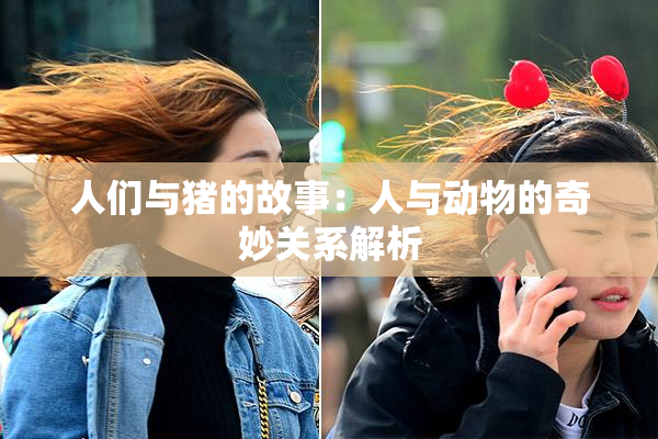人们与猪的故事：人与动物的奇妙关系解析