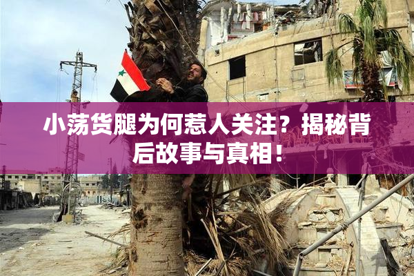 小荡货腿为何惹人关注？揭秘背后故事与真相！
