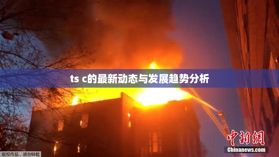 ts c的最新动态与发展趋势分析