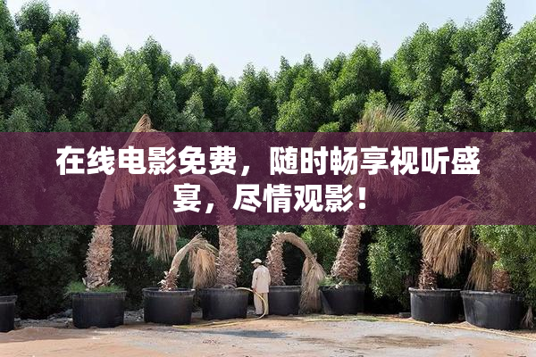 在线电影免费，随时畅享视听盛宴，尽情观影！