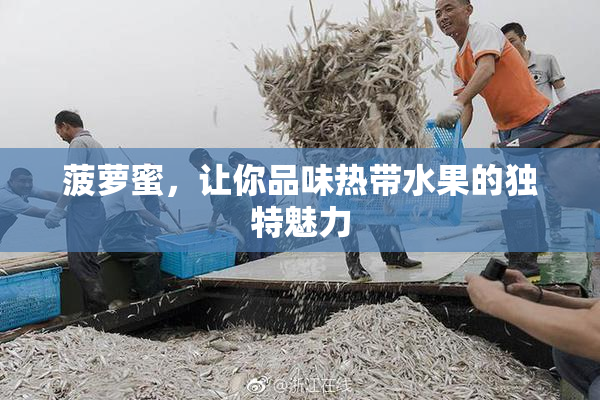 菠萝蜜，让你品味热带水果的独特魅力