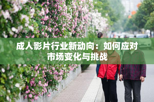 成人影片行业新动向：如何应对市场变化与挑战