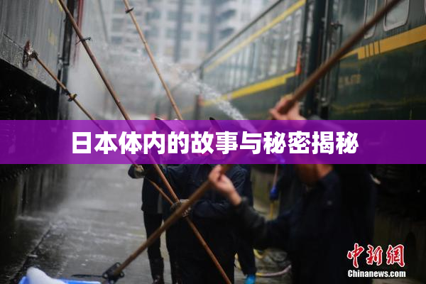 日本体内的故事与秘密揭秘