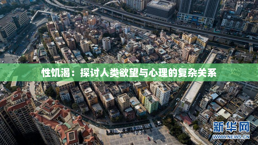 性饥渴：探讨人类欲望与心理的复杂关系