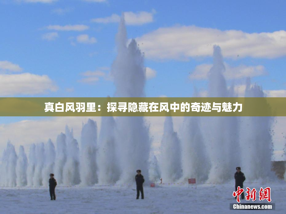 真白风羽里：探寻隐藏在风中的奇迹与魅力