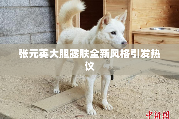 张元英大胆露肤全新风格引发热议
