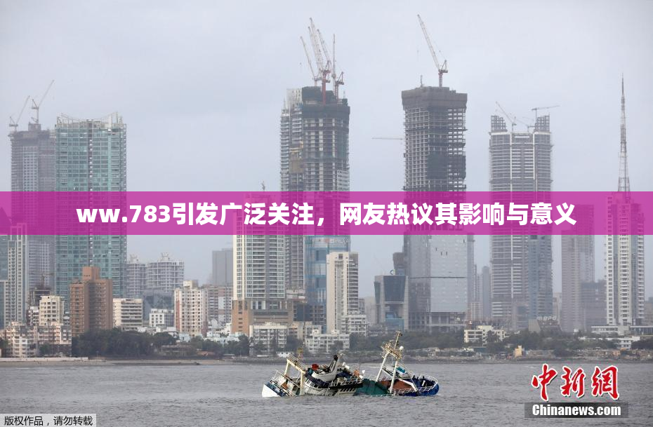 ww.783引发广泛关注，网友热议其影响与意义