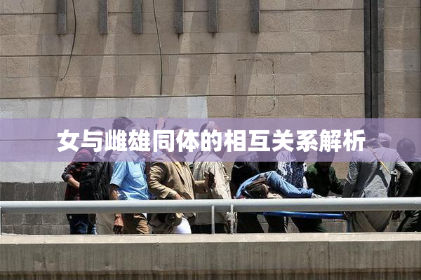 女与雌雄同体的相互关系解析