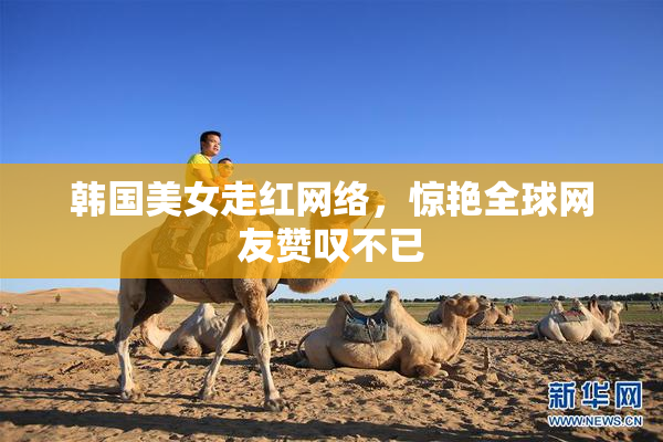 韩国美女走红网络，惊艳全球网友赞叹不已
