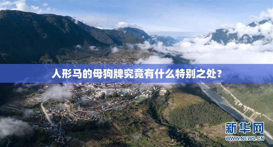 人形马的母狗牌究竟有什么特别之处？